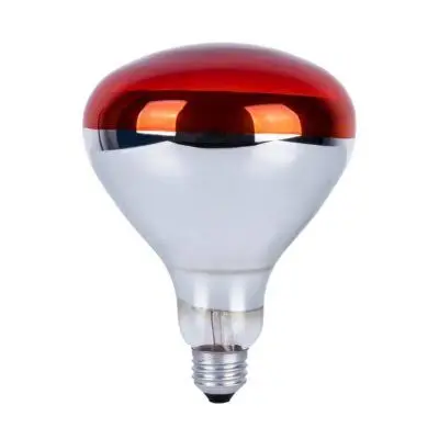luxten -250 w لمبة ورمر تسخين بطاطا لون احمر م ح 